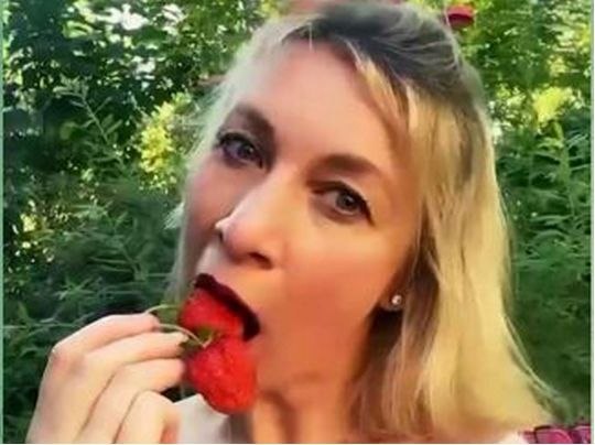 Мария Захарова на брифинге, выборы в Армении, Дилижан