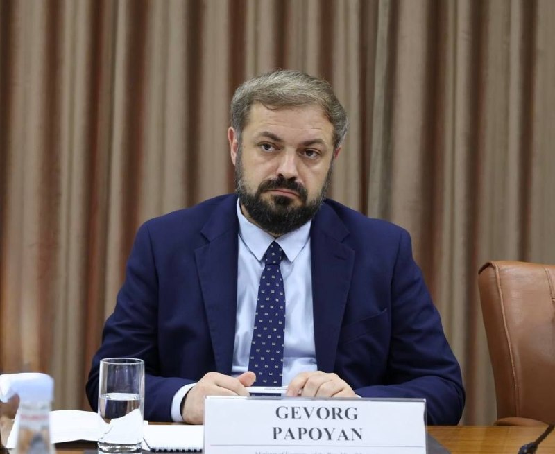 В Ереване построят игровой комплекс за $500 млн: что это значит для Дилижана?