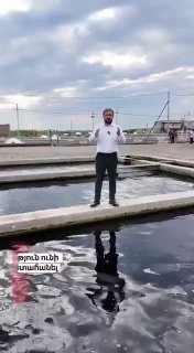 Армения получила право экспортировать рыбу в ЕС: что это значит для Дилижана