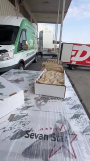 Погрузка армянской рыбы из Севана в Ереване для отправки в Лос-Анджелес