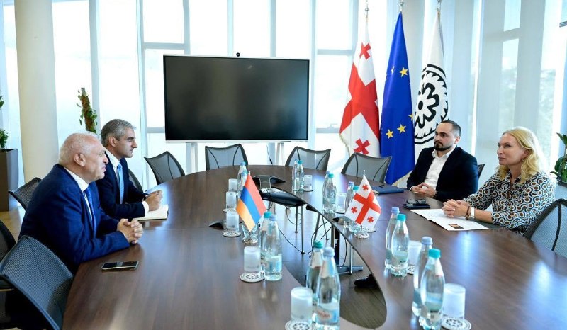Посол Армении и глава Нацбанка Грузии обсудили финансовое сотрудничество