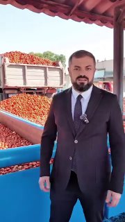 Закупка томатов в Армении: в Дилижане ожидают стабильные цены на урожай