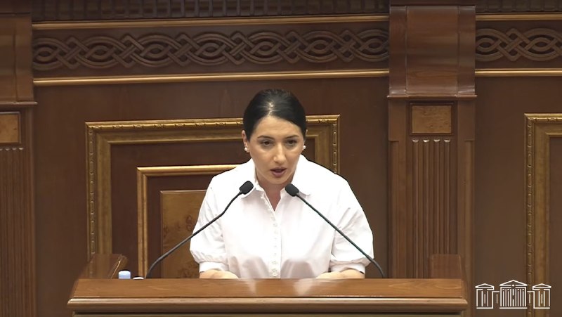 Депутат из Дилижана выступает в парламенте в необычно медленном темпе — обсуждают выборы