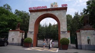 В Ереванский зоопарк из особняка Гагика Царукяна перевезли тигров и львов: состояние животных